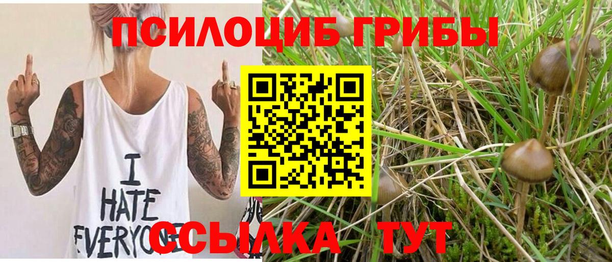 Рязань  Галлюциногенные грибы Cubensis  наркота  Вход с VPN 